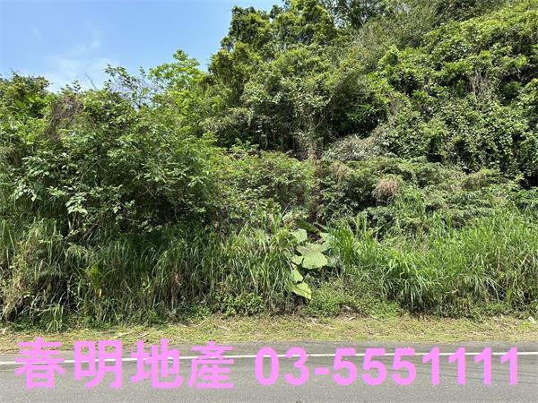新竹農地-2