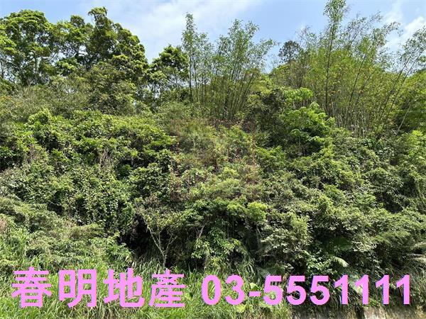 新竹農地-3