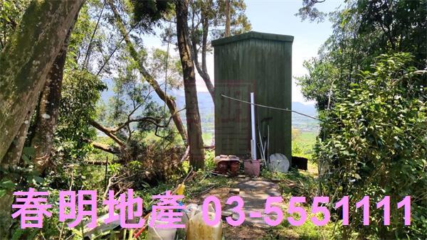 橫山農地-9