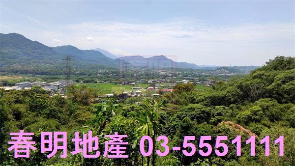 橫山農地-10