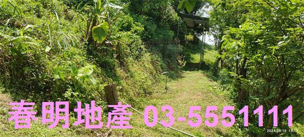 橫山農地-12