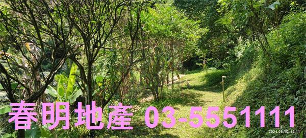 橫山農地-13