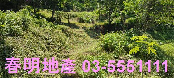 橫山農地-2