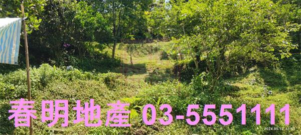 橫山農地-4
