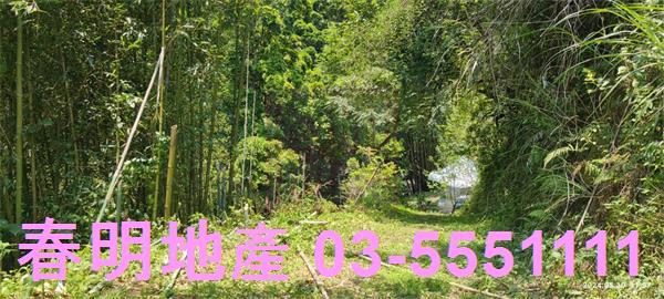橫山農地-5