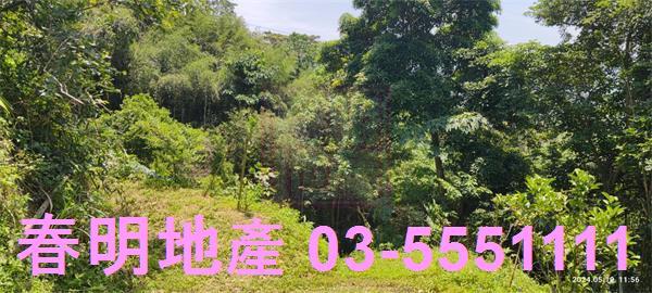 橫山農地-6