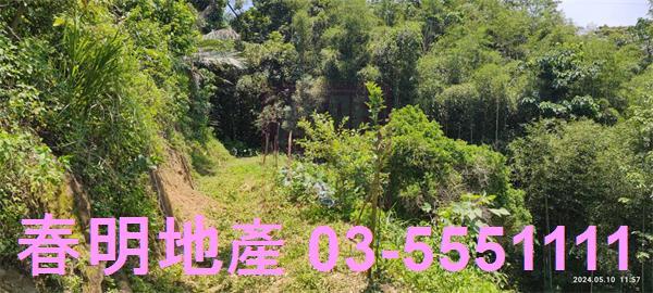 橫山農地-7