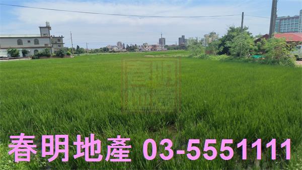 新豐農地-3