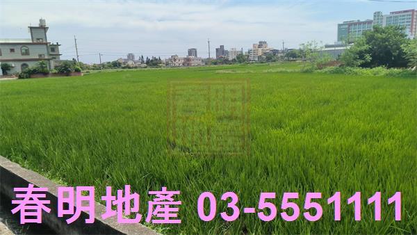新豐農地-4
