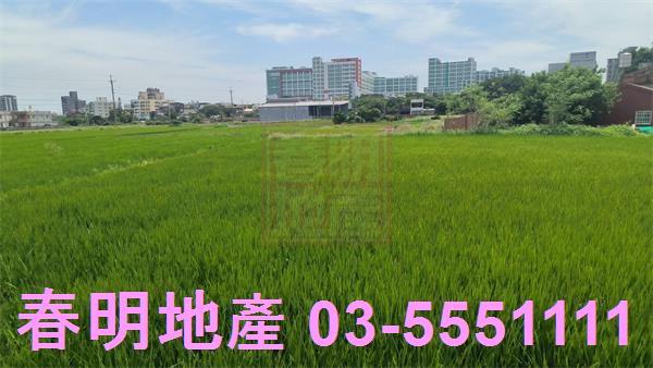 新豐農地-5