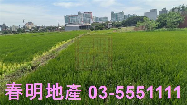 新豐農地-6