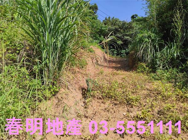 新竹竹東農地-4