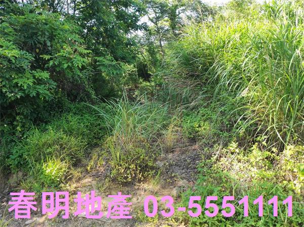 新竹竹東農地-5