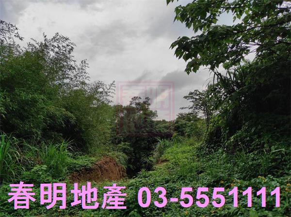新竹竹東農地-7
