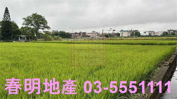 新豐農地-1