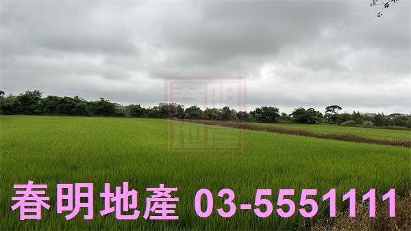 新豐農地-2