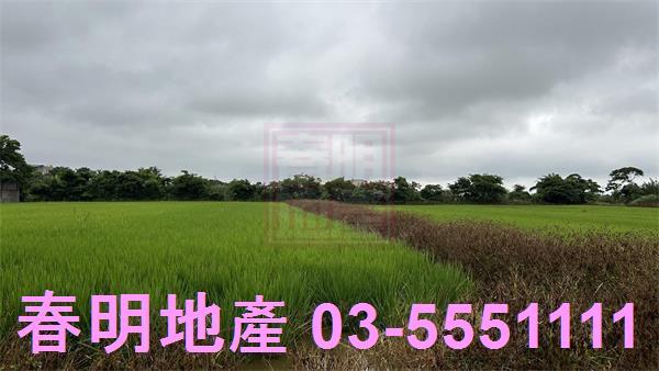 新豐農地-3