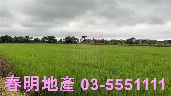新豐農地-4