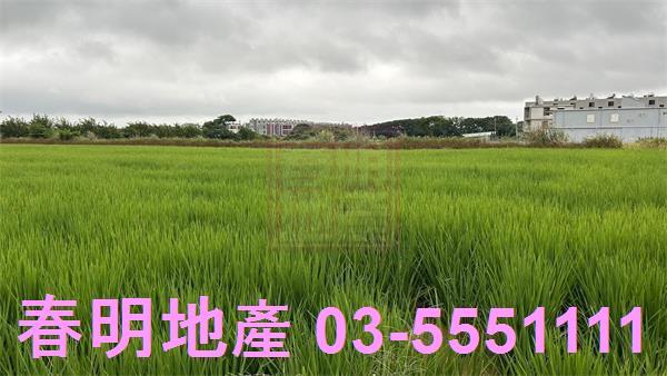 新豐農地-5
