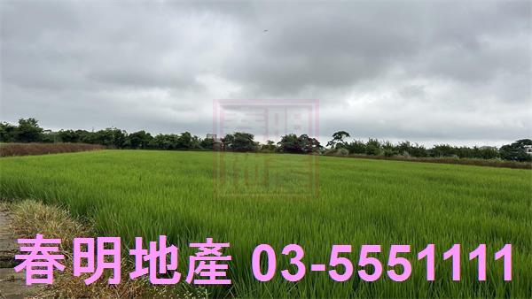 新豐農地-6