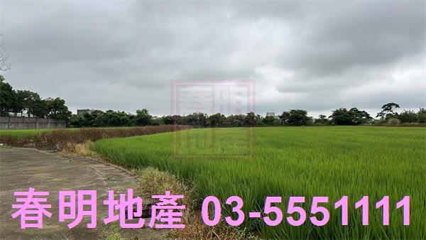 新豐農地-7