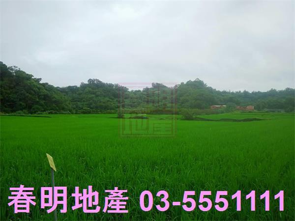 新竹農地-9