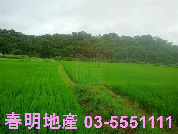 新竹農地-10