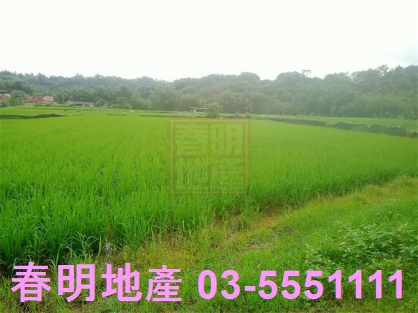新竹農地-11