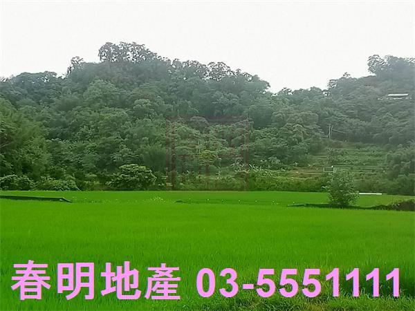 新竹農地-0
