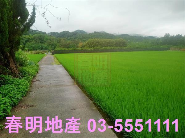 新竹農地-5