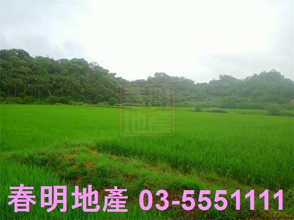 新竹農地-6