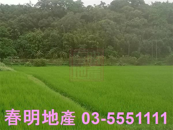 新竹農地-7
