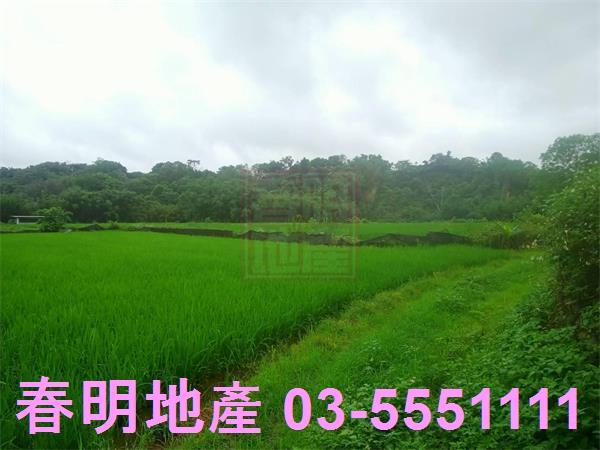 新竹農地-8