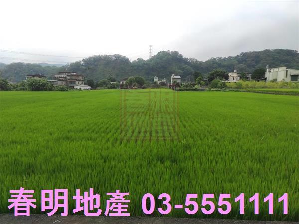 新竹芎林農地-2