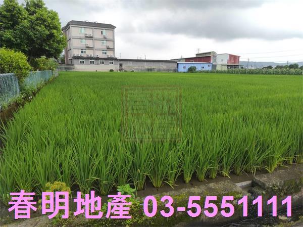 新竹芎林農地-4