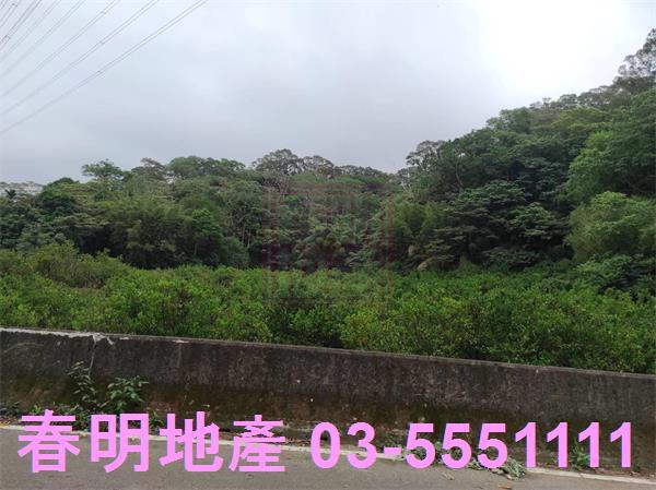 新竹農地-2