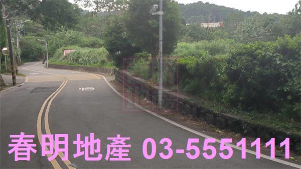 新竹竹東林地-0