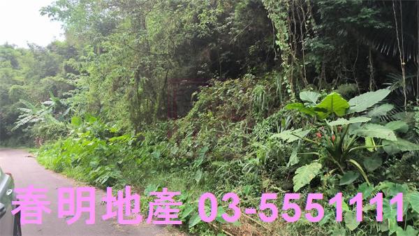 新竹竹東林地-6