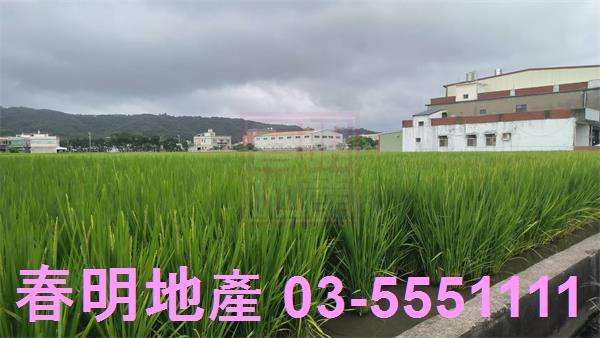 竹北農地-2