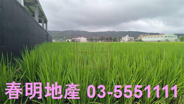 竹北農地-3