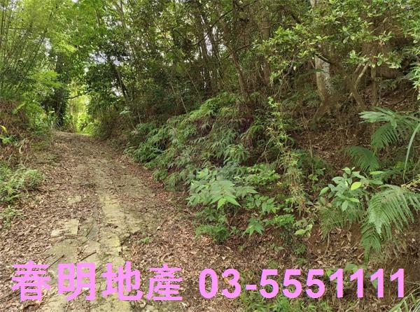 新竹橫山農地-9