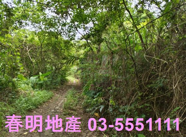 新竹橫山農地-0