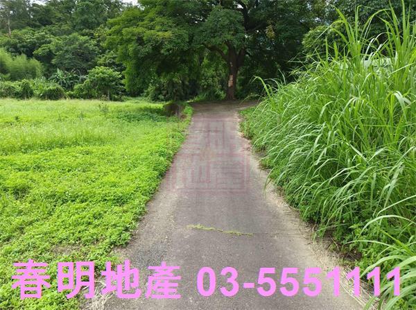 新竹橫山農地-1
