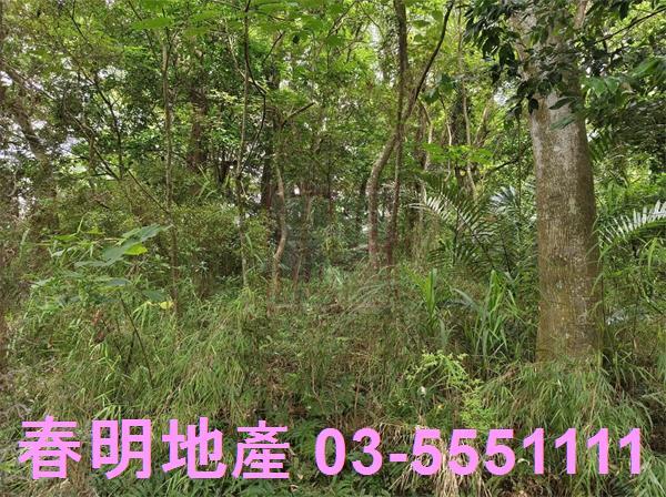新竹橫山農地-2