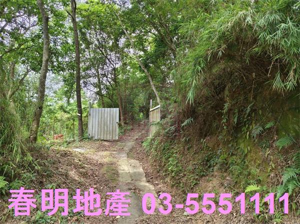 新竹橫山農地-4