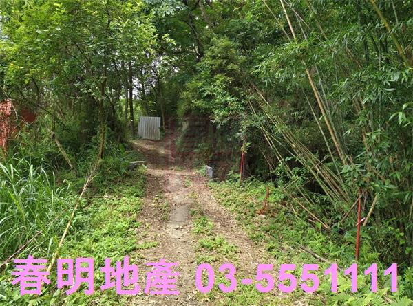 新竹橫山農地-5