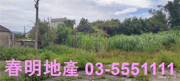 新豐農地-2