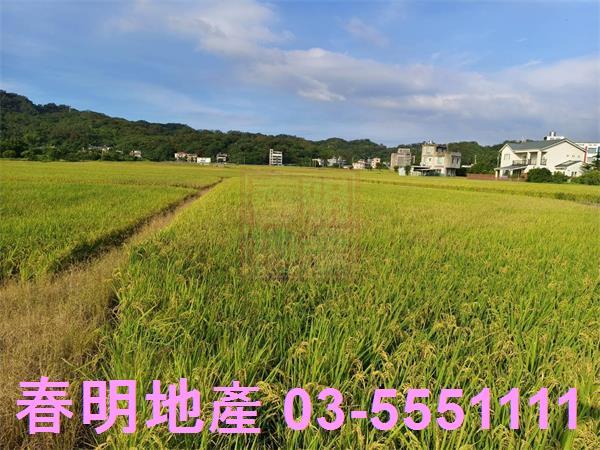 芎林農地-10