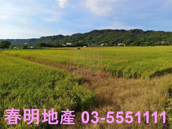 芎林農地-11