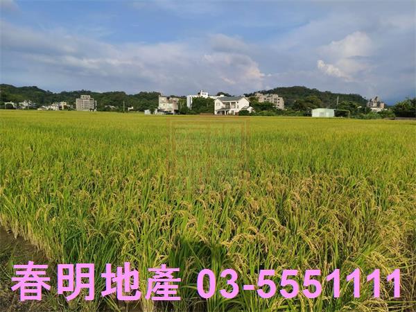 芎林農地-13
